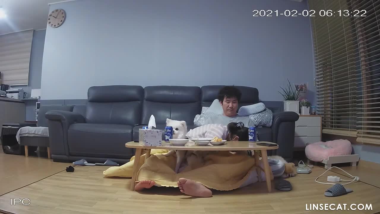 [신작] 성욕이 강한 중년 부부, 아내는 거의 매일 남편에게 구강 성교를 해준다. 맥주를 마시고 남편의 성기를 핥으며 여유로운 삶을 산다. [해킹된 한국 가정용 IP 카메라] [단독 영상] 썸네일